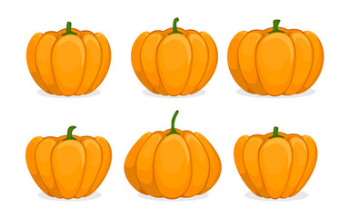 Cartoon pumpkin set. Different shapes and sizes orange gourd. Element for autumn Halloween party invitation decoration