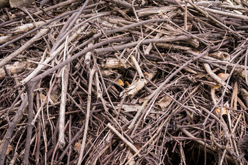 texture and background of sticks