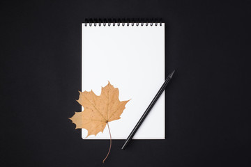 Opened clean notebook or sketchbook with pencil and autumn leaf on black background