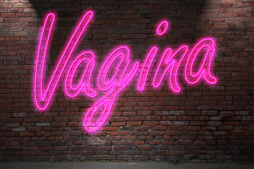 Leuchtreklame Vagina an Ziegelsteinmauer - obrazy, fototapety, plakaty