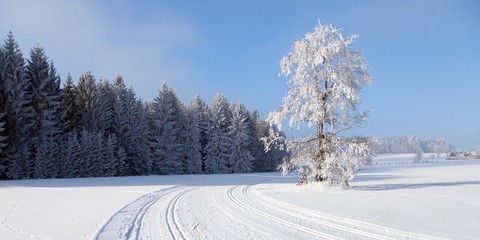 cross country skiing way