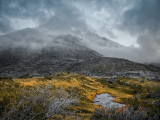 Torres del Paine Landscape 1