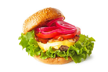Hamburger, cheese burger on a white background. 