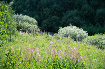 Fototapete bei efototapeten.de bestellen   