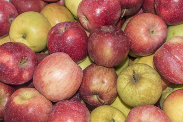 Fresh organic apples