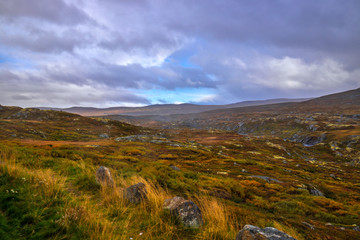 A typical landscape of the Hardangervidda in Norway. All pictures were taken in autumn.
