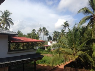 tropical resort hotel