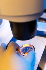 Man Technician working with laboratory equipment