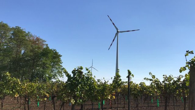 Rotating blades of wind turbine tower near green vineyard farm produce energy. Renewable wind power farm. Ecological windmill electricity energy production. Modern technology in harmony with nature