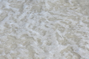 shallow water along the seashore