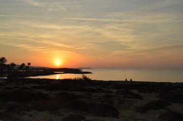 Fototapeta premium Davids fotos