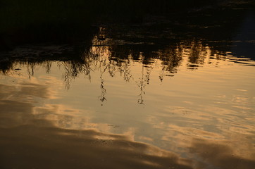 Spiegelung im Weiher, am Morgen