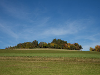 Fototapeta premium Fields and forest