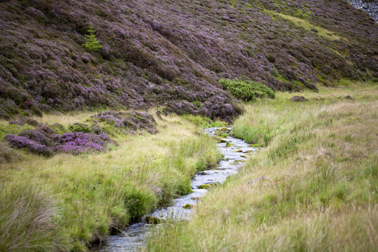 Arroyo en el Parque Nacional de Cairngorms