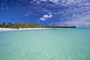 Zanzibar, landscape sea, white sand