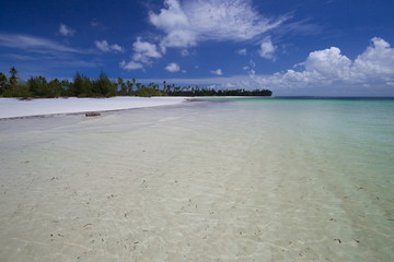 Zanzibar, landscape sea, white sand