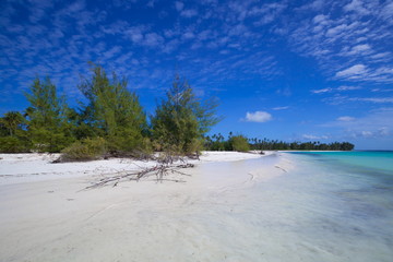 Zanzibar, landscape sea, white sand