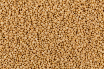 amaranth grain closeup