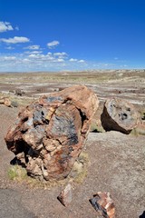 Fototapeta na wymiar Petrified Log Petrified Forest National Park Arizona