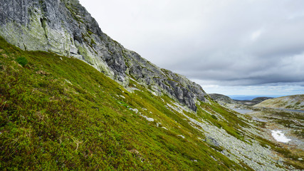 A mossy and rocky landscape.