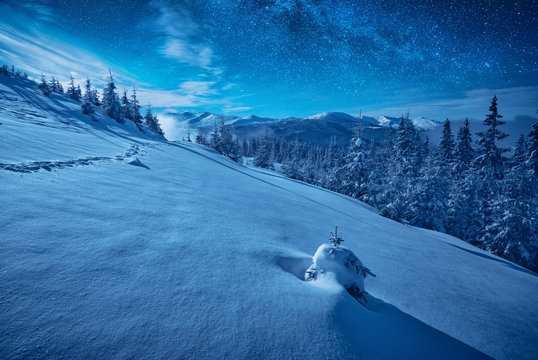 Mountain hill covered with snow in a moon light