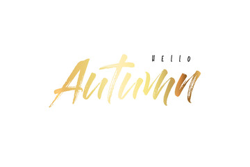 Hello Autumn, gold text handwritten calligraphy. Set of autumn leaves. Modern lettering vector illustration on the textured background as poster, postcard, card, invitation template. Concept seasons