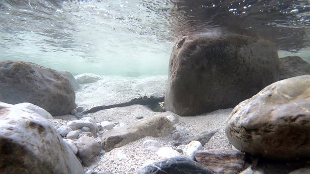 Bergbach- Unterwasser