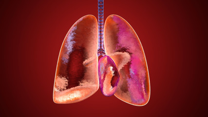 3D illustration of human lungs filled with Oxygen.
