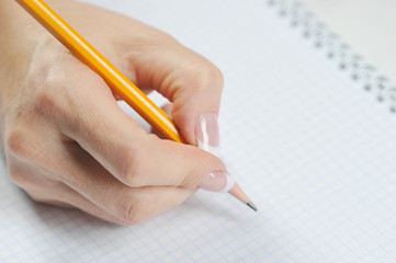 Pencil in the right female hand. Under the hand is a copybook in a cage. Close-up. Light background.