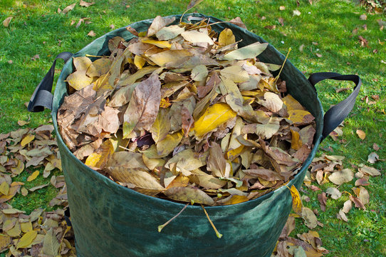 Mit Laub gef&uuml;llter Abfallsack im Herbst