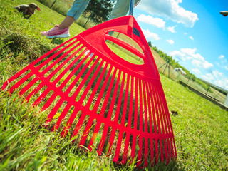 Unusual angle of woman raking leaves