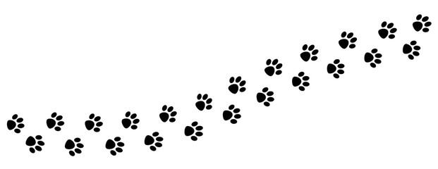 Free Free Paw Print Trail Svg 519 SVG PNG EPS DXF File