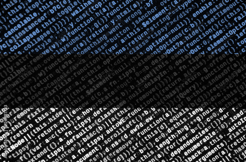 Wall mural estonia flag is depicted on the screen with the program code. the concept of modern technology and s