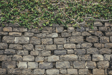 Wall made out of uneven volcanic rock bricks, top edge has branches and green leaves tree plant. Background.