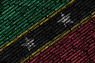 Saint Kitts and Nevis flag  is depicted on the screen with the program code. The concept of modern...
