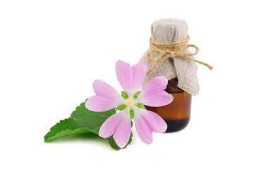 Althaea Officinalis Medicinal Herb Plant Essential Oil or Medication Extract in a Medicinal Bottle....