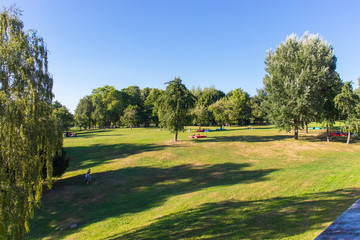 Fototapeta premium Large lawn in a holiday park for the family. Green and yellow lawn. Green trees in the park. Blue clear sky.