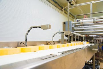 Industrial production of hard cheeses