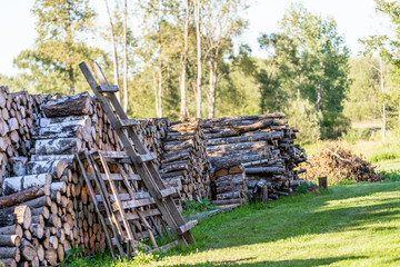 Fototapeta na wymiar A Pile of Logs in the Backyard on the Sunny Summer Evening
