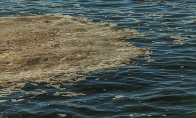 Dirty sea water. Dirt on water. Dirty oil spots on surface of sea water are polluted as result of sewage runoff. mud ripples. Garbage. Ecological problem. Bathing is prohibited. beach is closed