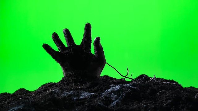 Zombie hand emerging from the ground. Green screen. 007