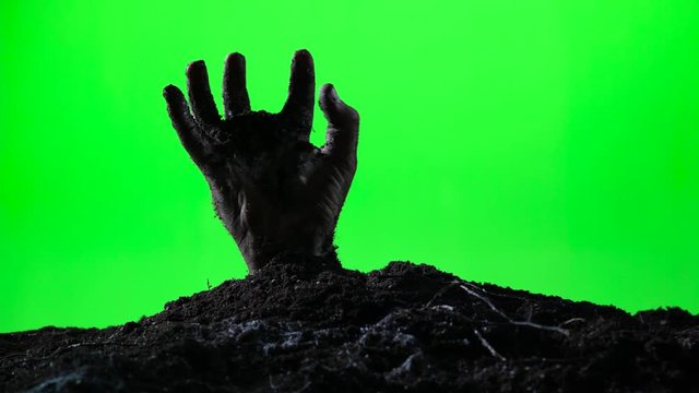 Zombie hand emerging from the ground grave. Halloween concept. Green screen. 011