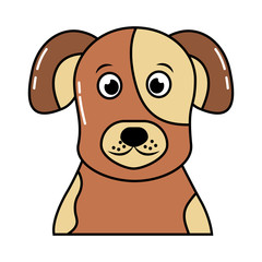 cute pet animal dog isolated image