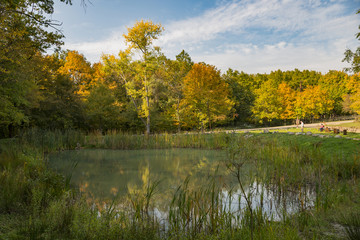 Fototapeta na wymiar beautiful autumn color tree reflection on lake in Hungary