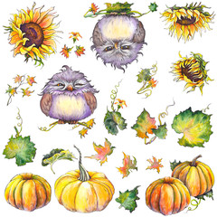 Autumn set with pumpkins, sunflowers, leaves and funny owl characters. Isolated elements for design. Watercolor illustration.