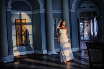 Elegant and classy wedding dress for the bride