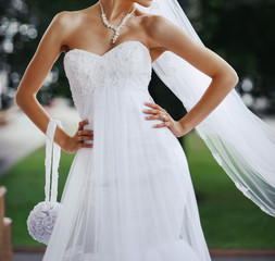 Elegant and classy wedding dress for the bride