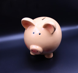 Piggy bank with savings