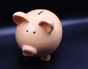 Piggy bank with savings