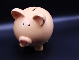 Piggy bank with savings